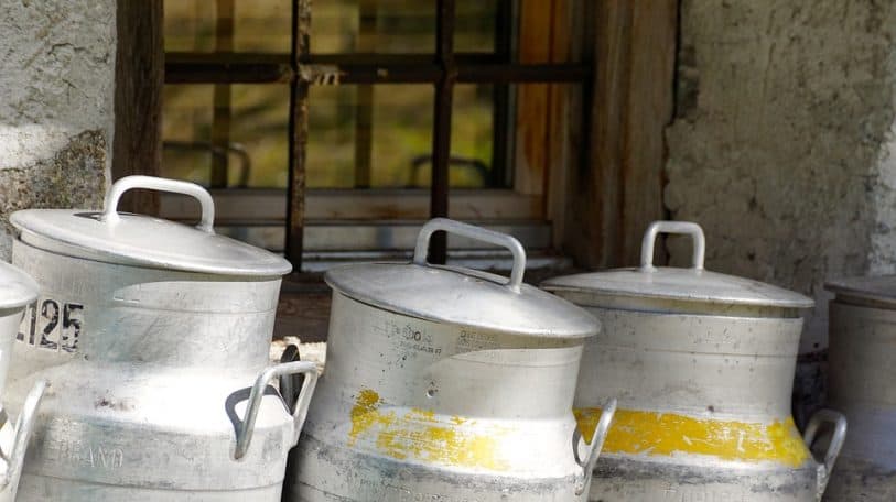 Burundi : surproduction laitière, vraie ou fausse alerte ?