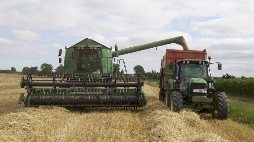 L’agro-industrie : remède ultime pour le chômage et l’insécurité alimentaire ?