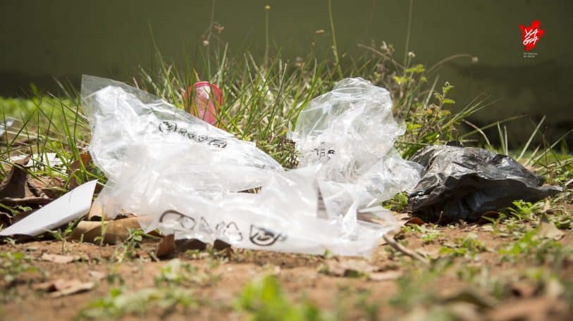 Où en est l’extermination des sacs en plastique ?