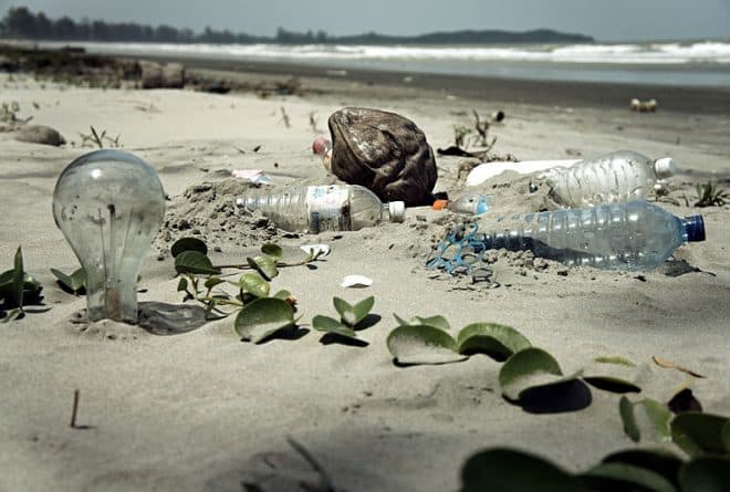 Recyclage des bouteilles en plastiques : où sont les entreprises pollueuses ?