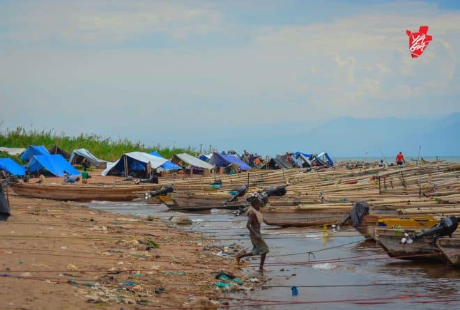 Le poisson, du lac aux marchés : les travailleurs de l’ombre