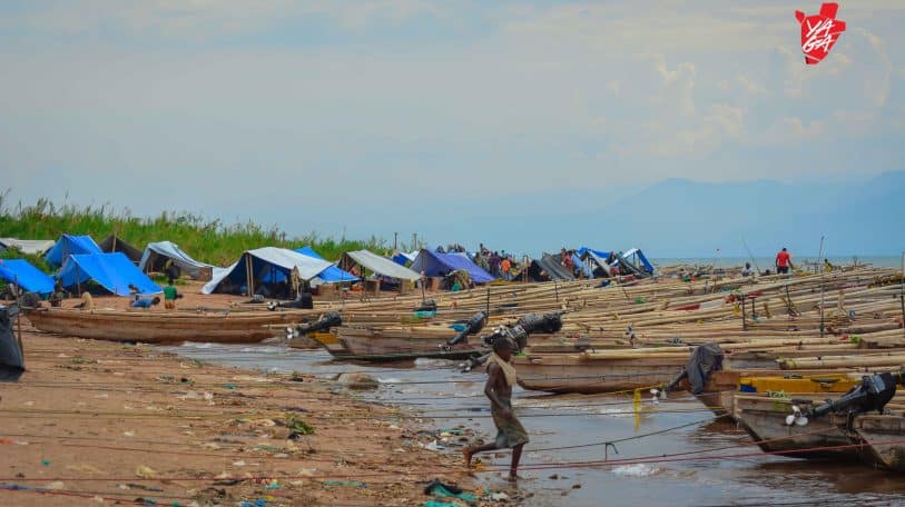 Le poisson, du lac aux marchés : les travailleurs de l’ombre