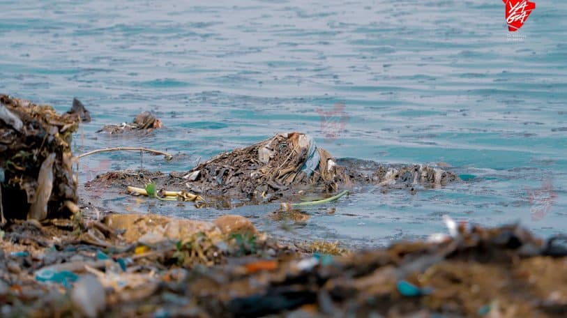 Pollution du lac Tanganyika: des cris d&rsquo;alarmes, en vain