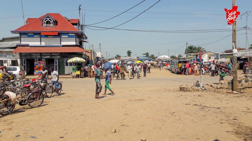 #ThePoliticianWeWant : cap sur Mpanda, le fief des palmiers à huile