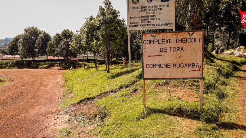 #ThePoliticianWeWant : Mugamba, il était une fois…