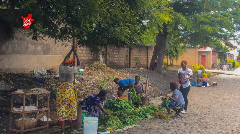« Pileuses d’isombe », un métier pas comme les autres