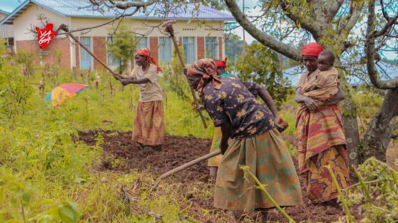 « Comment espère-t-on se développer et nourrir la population burundaise si nous utilisons encore la houe ? »