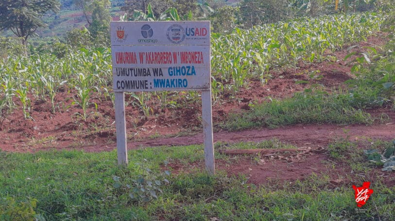 #ThePoliticianWeWant : Mwakiro, l’oubliée de Muyinga ?