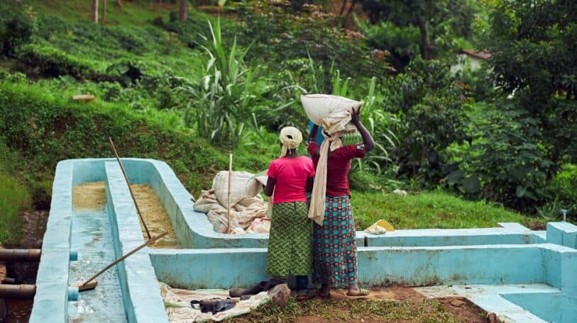 Héritage des filles : le tabou brisé à Musigati