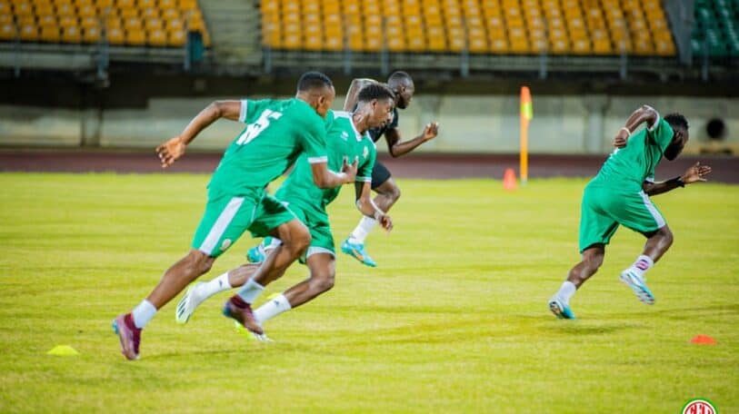 Les Hirondelles, peuvent-elles dompter les Lions Indomptables ?