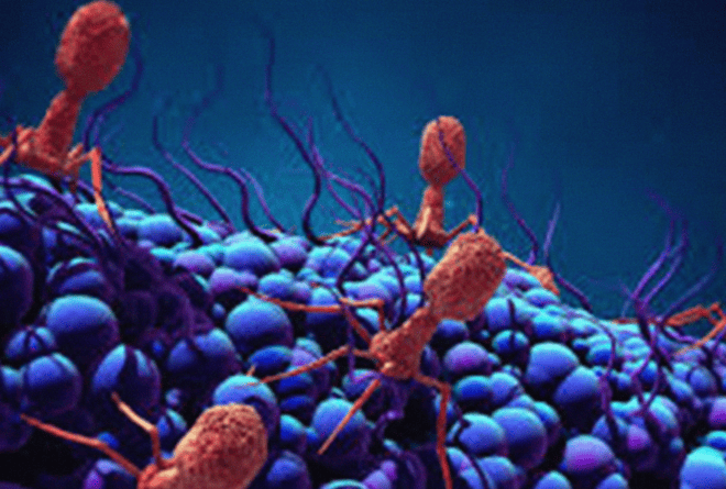 Résistance aux antimicrobiens : une réelle menace