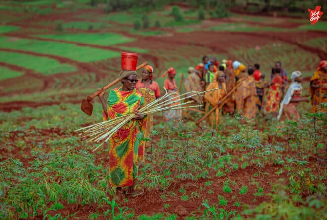 Agriculture, l’oubliée des financements bancaires