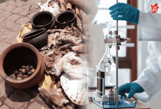 Redonner à la médecine traditionnelle ses lettres de noblesses ? Pesons le pour et le contre