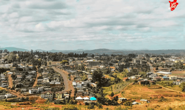 Gitega : à quand l’exploitation libre des parcelles de Rukoba ?