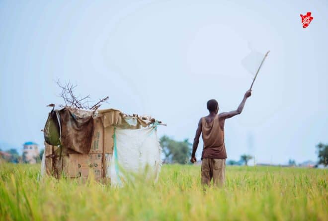 Ombudsman et médiateurs : les placebos de la justice