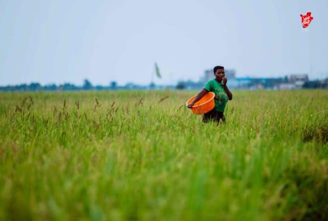 Burundi : une pénurie des fertilisants qui nourrit la faim