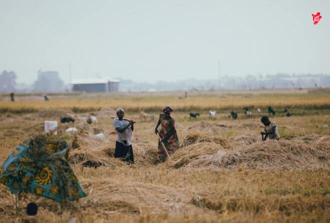 Au Burundi, l’égalité s’arrête-t-elle aux portes de l’héritage ?