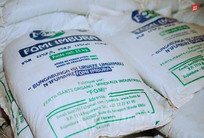 Engrais introuvables, récoltes incertaines : l’agriculture burundaise à l’épreuve