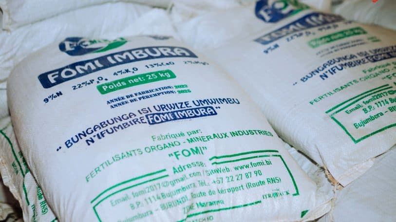 Engrais introuvables, récoltes incertaines : l’agriculture burundaise à l’épreuve