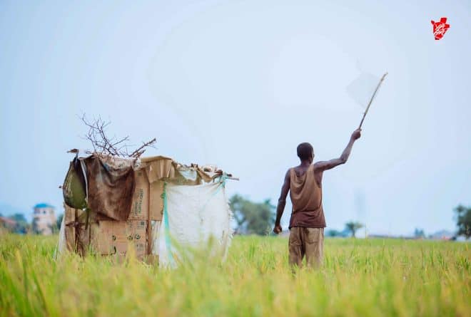 Réformes éducatives au Burundi : et si les rustines suffisaient plus ?