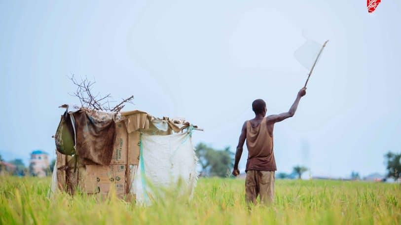 Réformes éducatives au Burundi : et si les rustines suffisaient plus ?